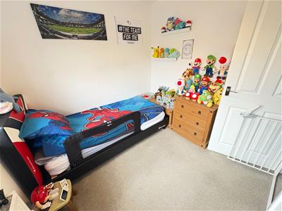 Picture 17